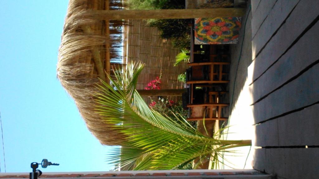 Lapa Lapa Lobitos Bungalows Exterior foto