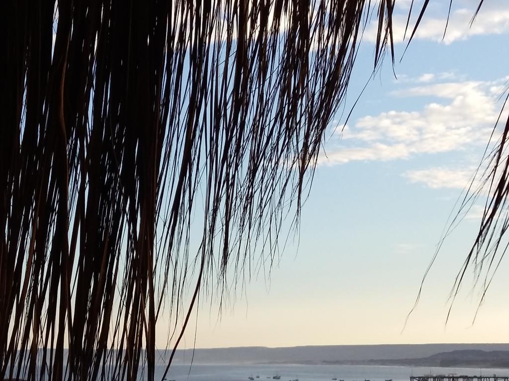 Lapa Lapa Lobitos Bungalows Exterior foto