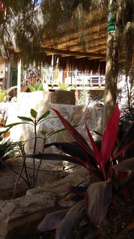 Lapa Lapa Lobitos Bungalows Exterior foto