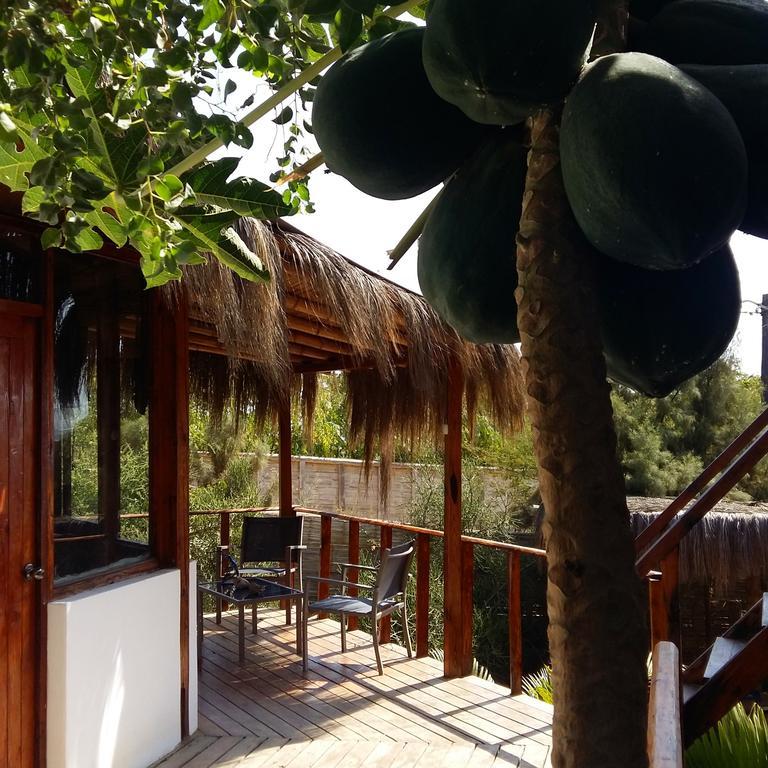 Lapa Lapa Lobitos Bungalows Exterior foto
